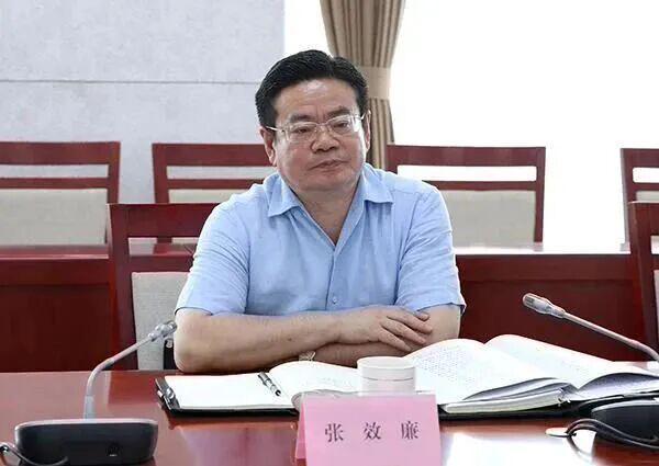 “官迷心窍”“结交政治骗子”的张效廉，在市长、省委常委等任上，敛财数额特别巨大！